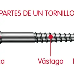 Ilustración de las partes de un tornillo: cabeza, vastago y punta. Así se explica para que sirve el tornillo, uniendo materiales.